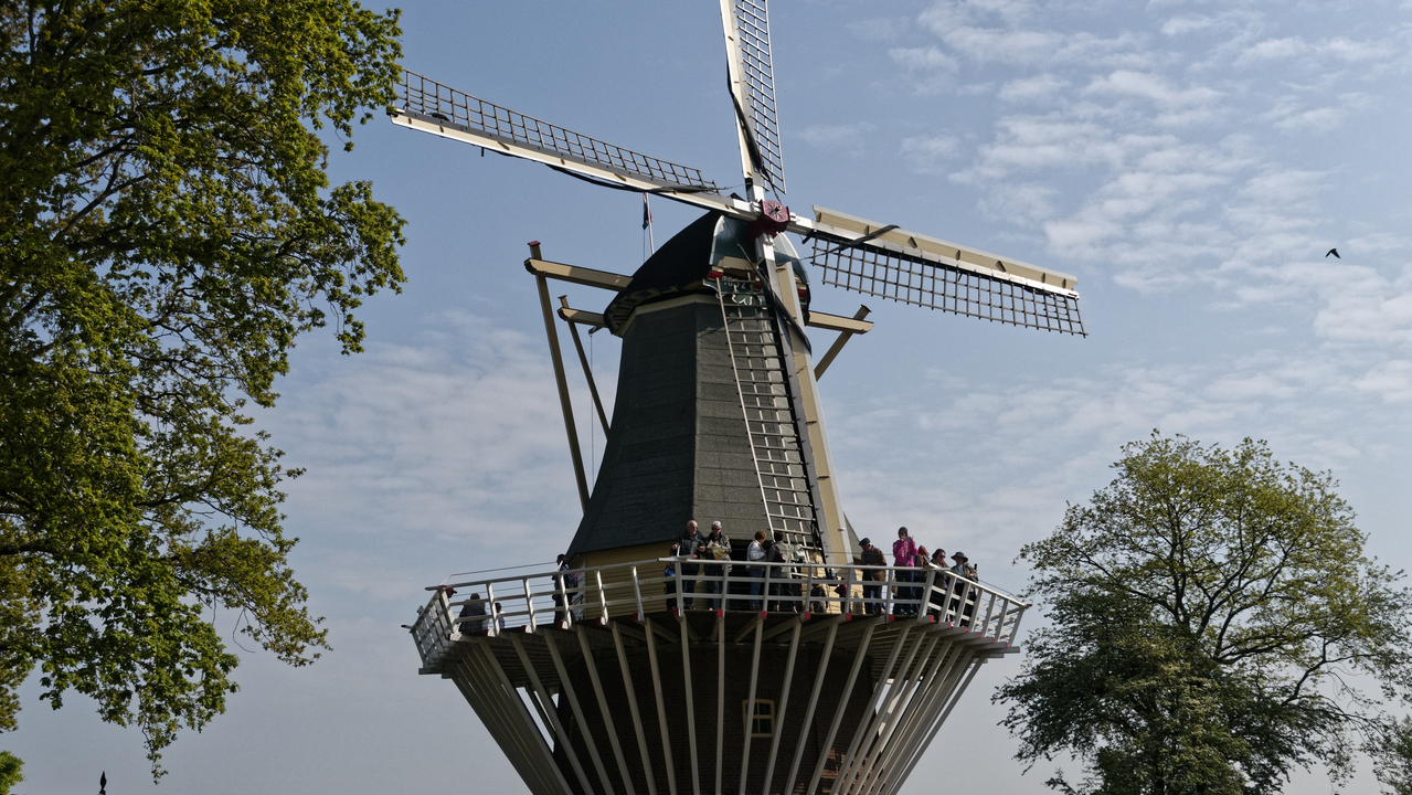 20140423 105014 Keukenhof Gardens, Lisse, South Holland, Netherlands